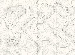 topographic